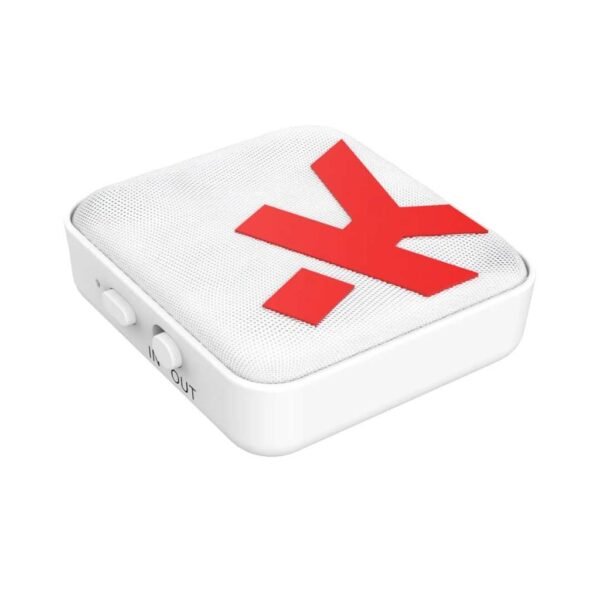 SKROSS - Wireless Audio Adapter - Image 4