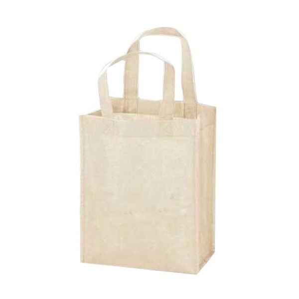 Non-Woven Shopping Bag Vertical
