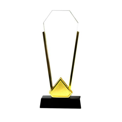 Trophy with gold edge black base