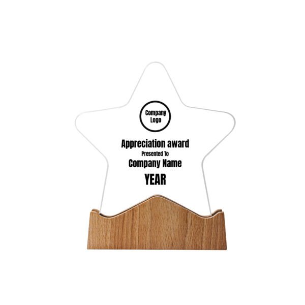 Star Shaped Wooden Trophy - Image 2