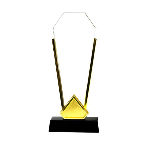 Trophy with gold edge black base