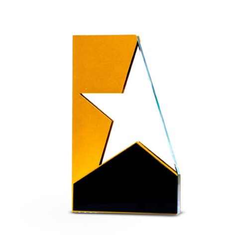 Award Trophy Star Shape