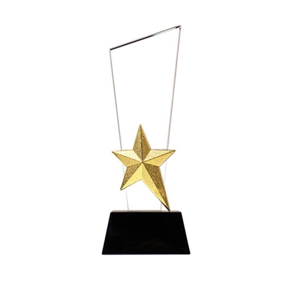 Crystal Trophy with Metal Star