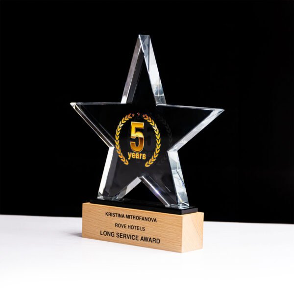 Star Shaped Crystal Award - Image 3