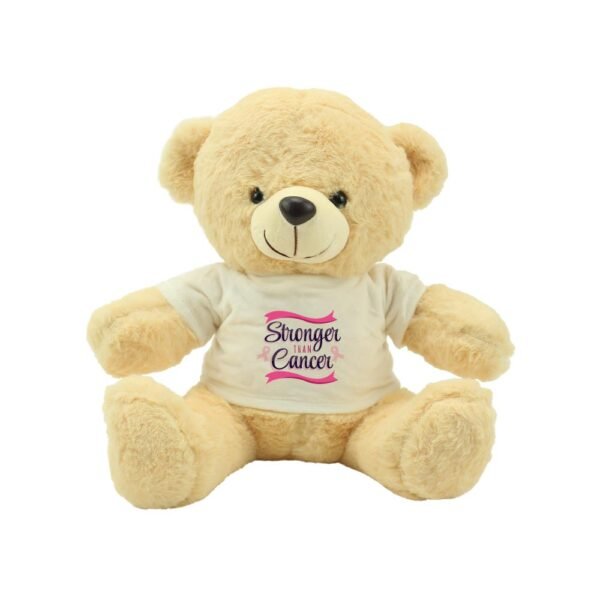 Teddy Bear with Breast Cancer Awareness Logo