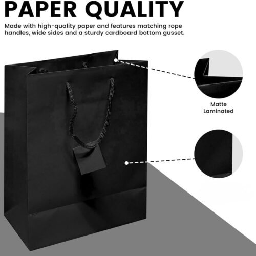 Black Plain Paper Bags