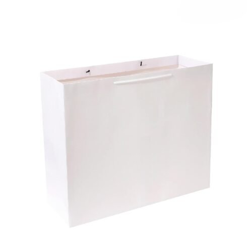 White Color Texture Gift Bags Shopping Bag