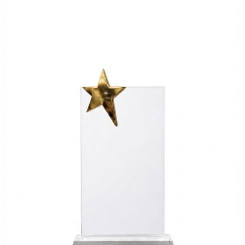 Crystal Star Excellence Award