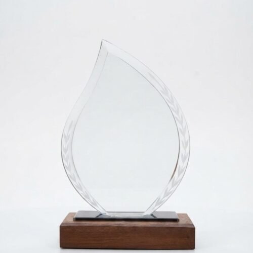 Flame Glass & Wood Trophy