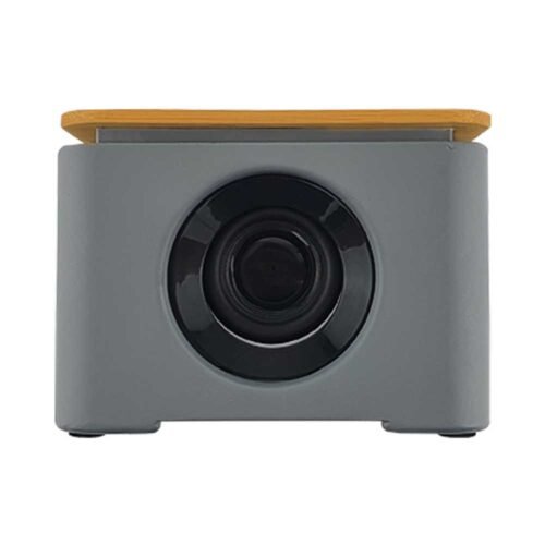 Wireless Charger & Bluetooth Speaker